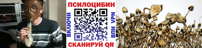 omg ссылки  Ужур  Псилоцибиновые грибы GOLDEN TEACHER 